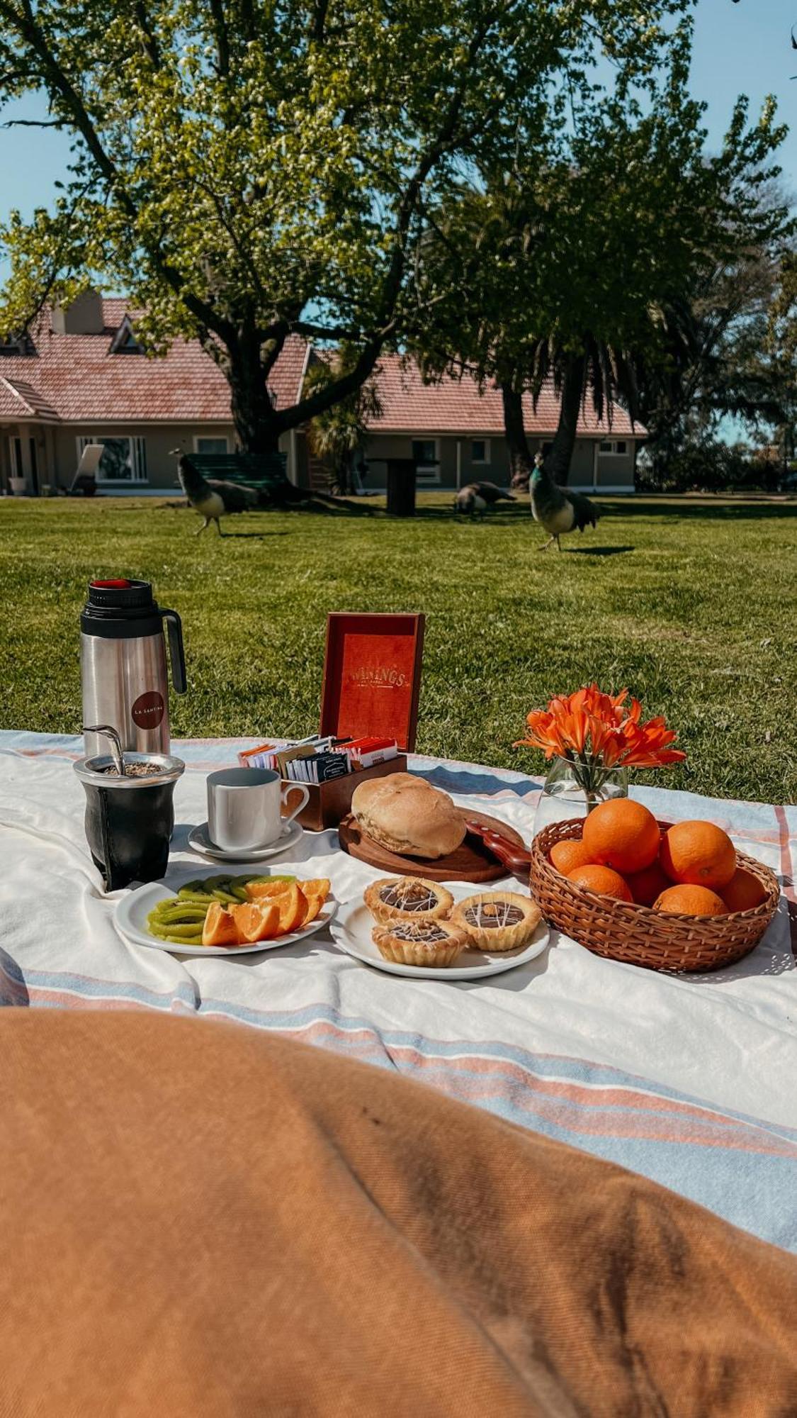 La Santina Posada & Experiencias De Campo San Pedro  Exterior foto